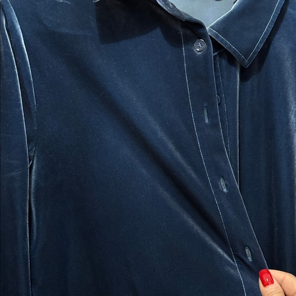 🦋SOFT SURROUNDINGS 🦋 Velvet Boyfriend Shirt 💕 - Picture 7 of 7